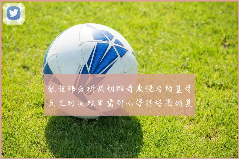 张佳玮分析武切维奇表现与约基奇瓦兰对决绿军需耐心等待塔图姆复出